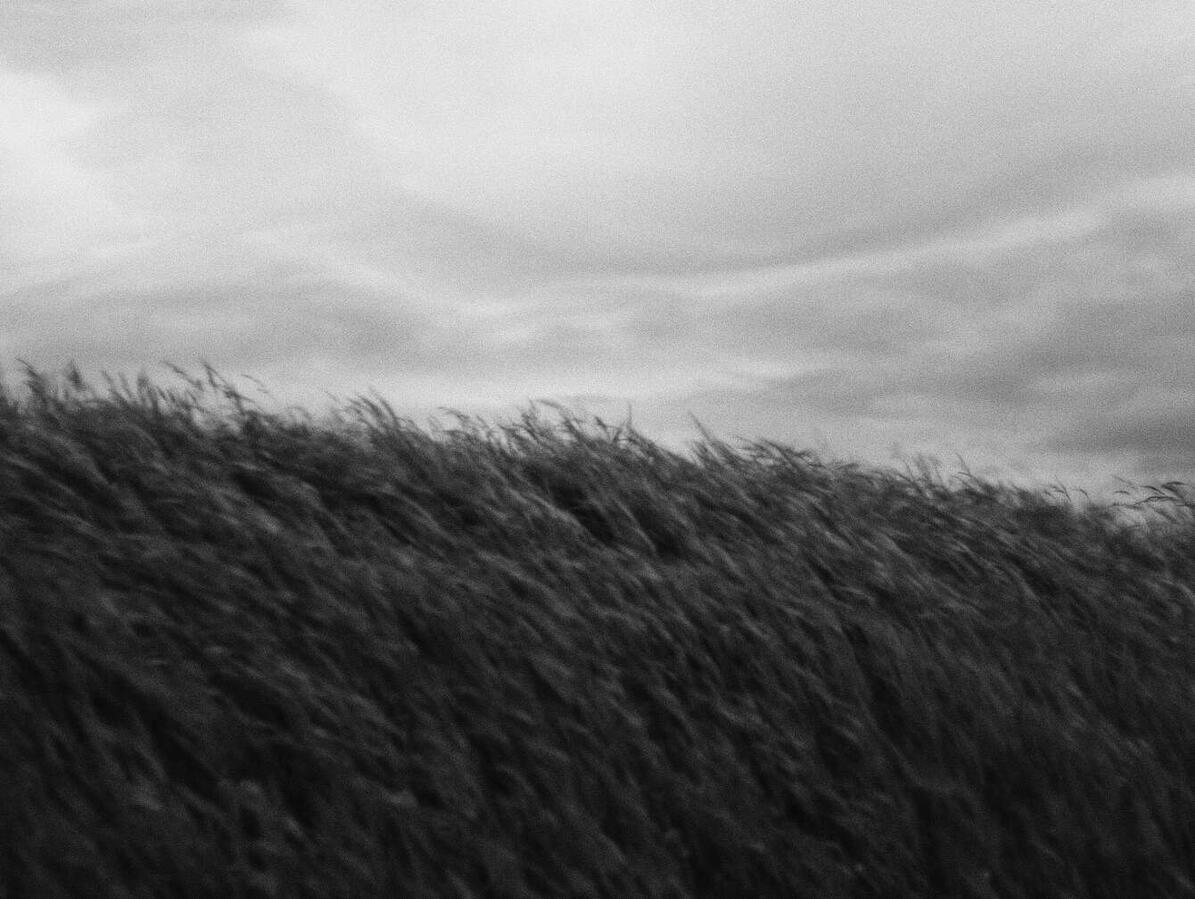Ridge #5 (Grass & Sky near Blönduós, Iceland). Ridge #5 (Grass & Sky near Blönduós, Iceland).